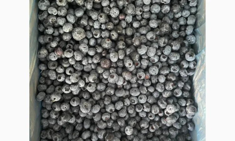 Продам ягоду голубику (свежемороженую) - фото № 1