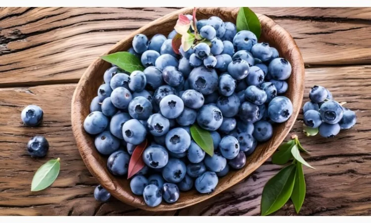 Куплю лохину оптом під заморозку в об'ємах - фото № 1