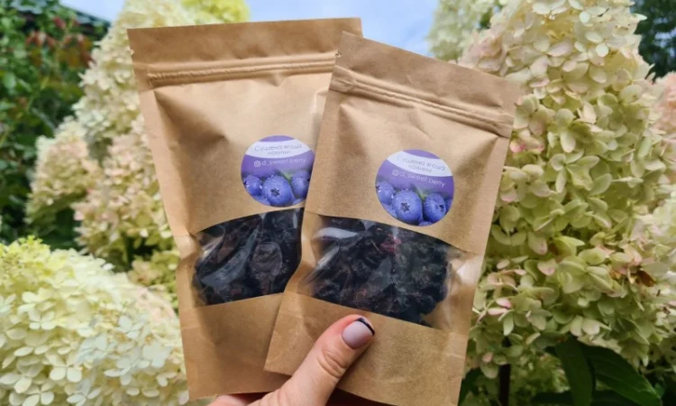 Сушена ягода лохини - фото № 1