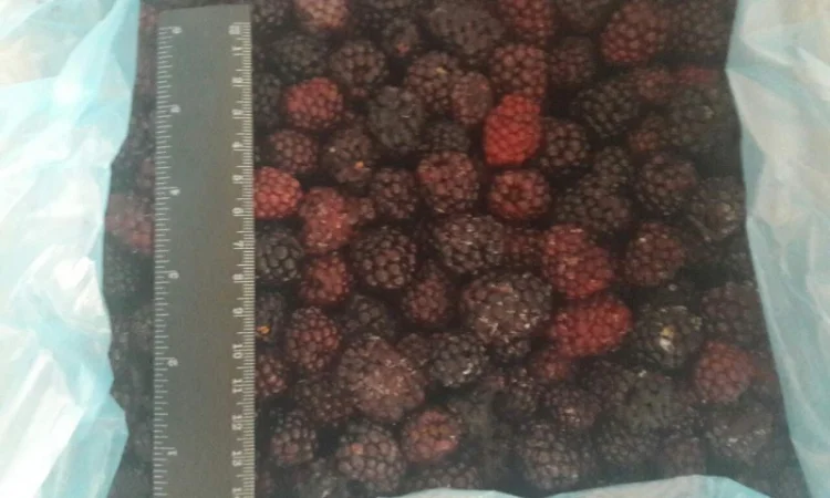 Замороженная очищенная ежевика Ожина - фото № 1