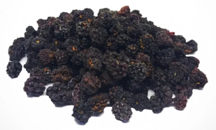 Продам ожину сушену - фото № 1