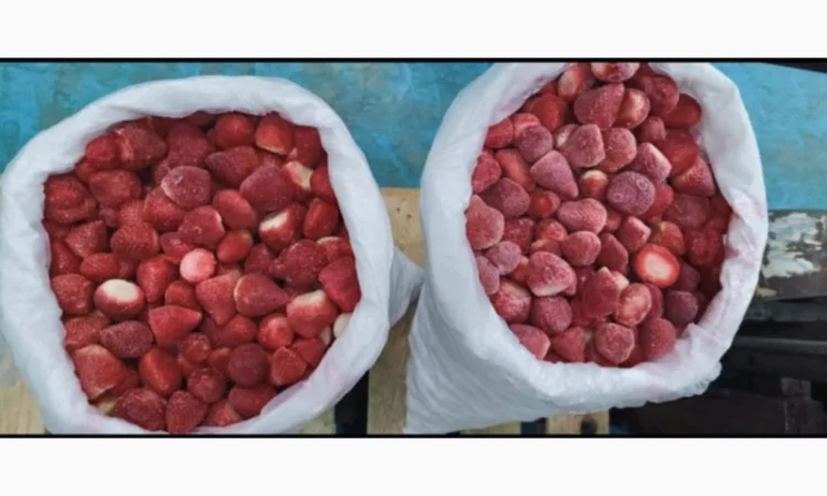 Продаємо полуницю морожену - фото № 2