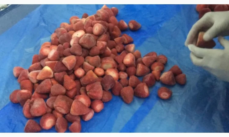 Продаємо полуницю морожену - фото № 3