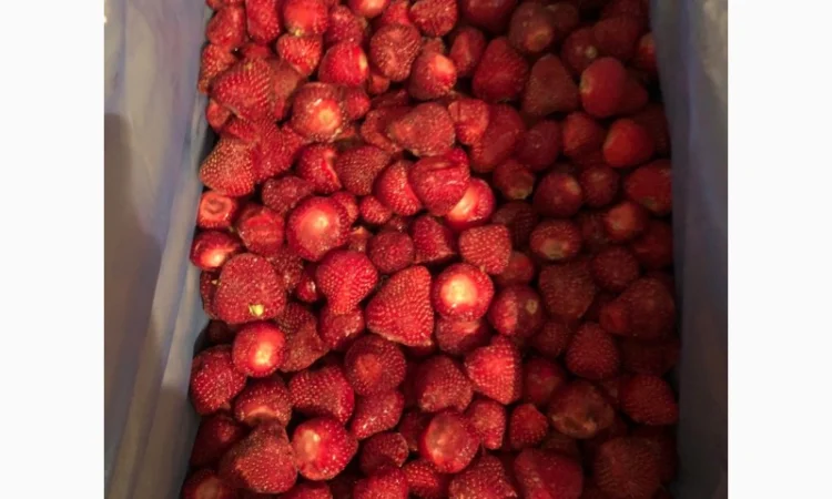 Куплю клубнику замороженную - фото № 1
