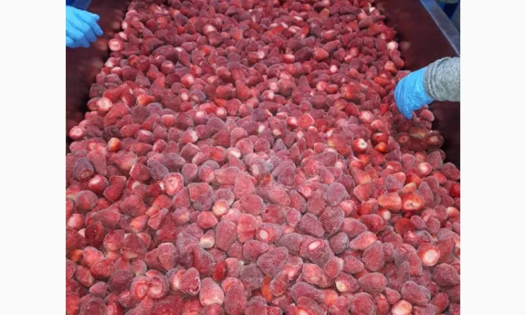 Полуниця Єгипет заморозка - фото № 1