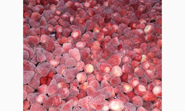 Полуниця Єгипет заморозка - фото № 5