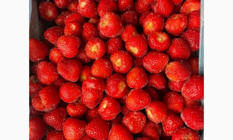 Заморожена полуниця - фото № 1