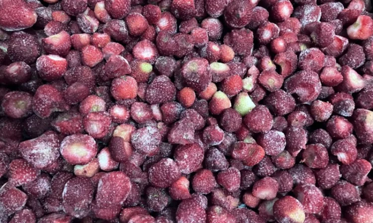 Полуниця прес-клас, очищена - фото № 2