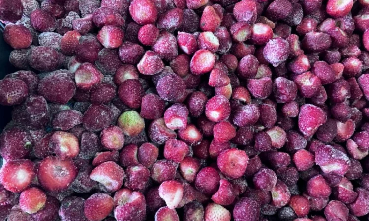 Полуниця прес-клас, очищена - фото № 3