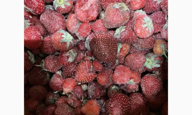 Продам полуницю з хвостом від 5 т - фото № 1