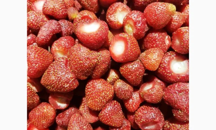 Продам замороженную клубнику оптом - фото № 1