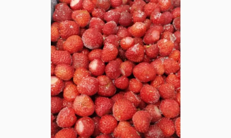 Пропонуємо заморожену (суницю) клубнику - фото № 2