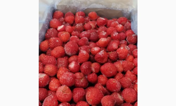 Пропонуємо заморожену (суницю) клубнику - фото № 7