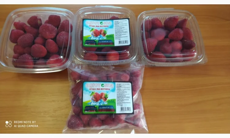 Пропонуємо заморожену (суницю) клубнику - фото № 8