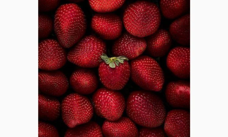 Куплю оптом полуницю, купляємо по всій Україні - фото № 1