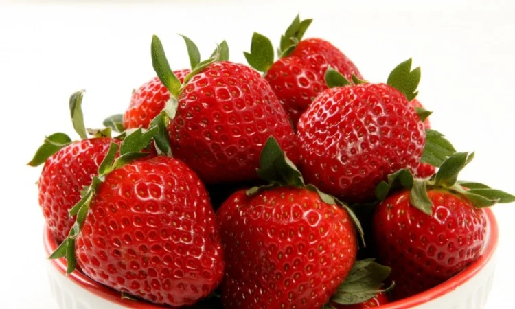 Продам домашню полуницю - фото № 1