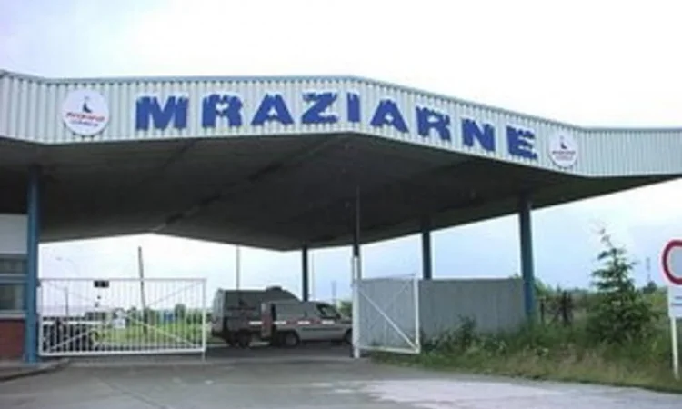 Купуємо морожену полуницю в Словаччину - фото № 1