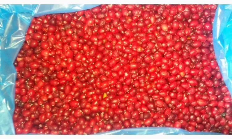 Клюква Журавлина очищенная замороженная - фото № 1