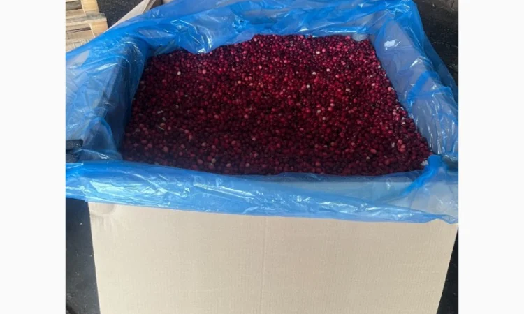 Продам заморожену журавлину Канада - фото № 1