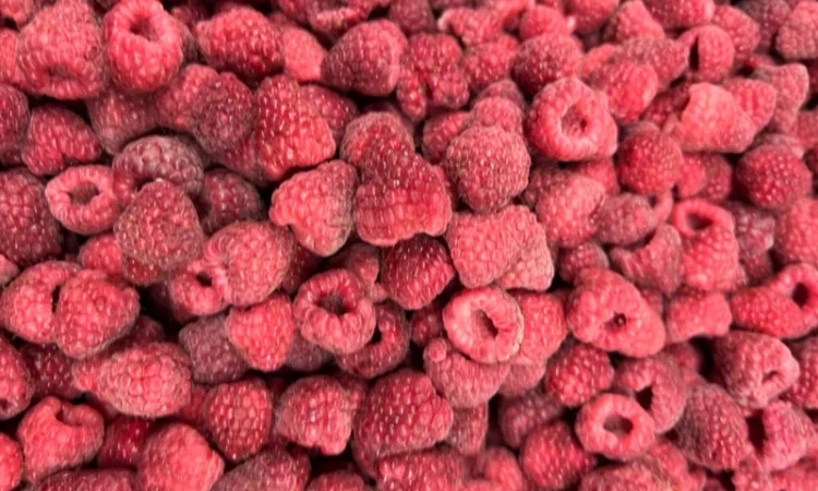 Продам клюкву (журавлину )врожай 2023року - фото № 5