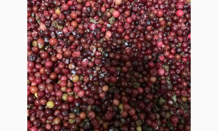 Клюква прес - фото № 1