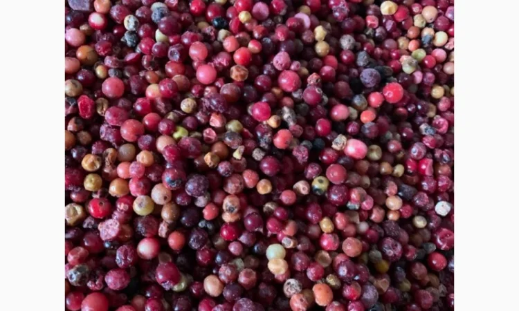 Клюква прес - фото № 2