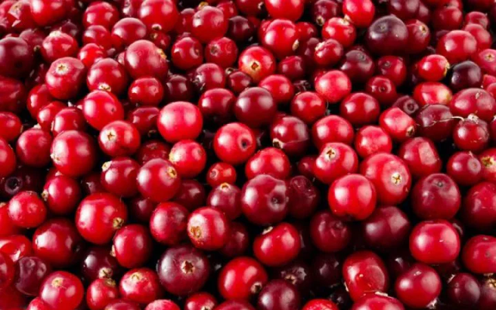 Пропонується журавлина (клюква) високої якості - фото № 1