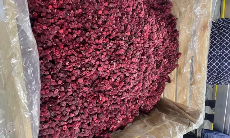 Продам малину, гриз малини - фото № 1