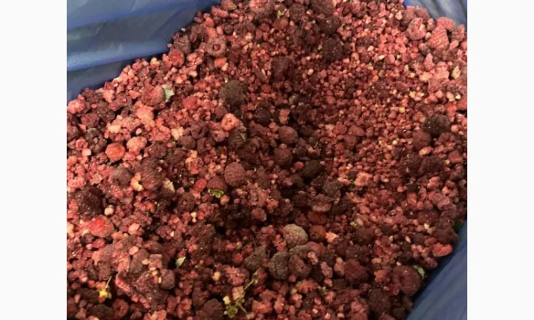 Куплю малину грис - фото № 1