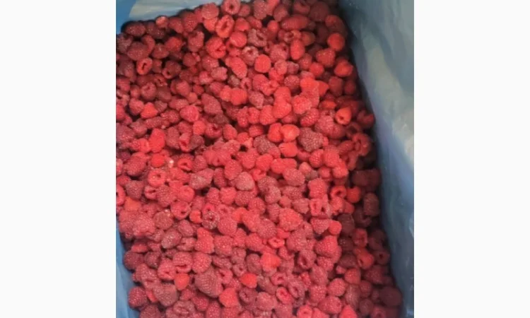 Куплю малину заморожену 80/20 і 90/10 - фото № 1