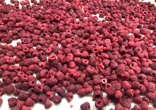 Куплю мороженую малину. Сбор 2025 минимум от 20 МТ - фото № 1