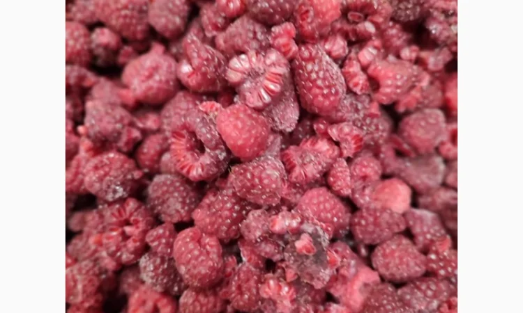 Продается малина грис, пакет 25 кг - фото № 1