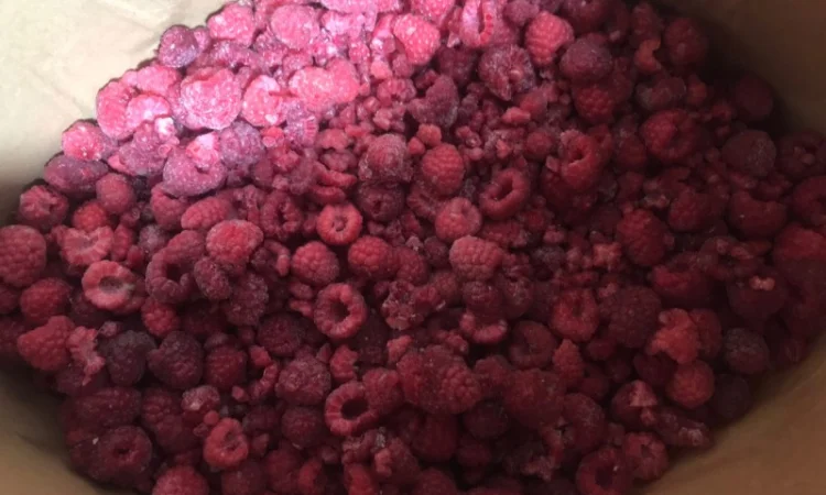 Продам заморожену малину грис оптом від 10 тонн - фото № 2