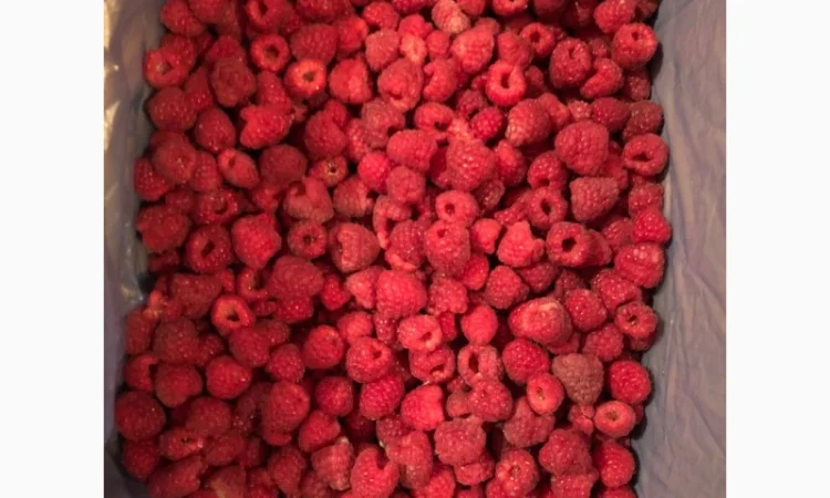 Закупаем замороженную малину - фото № 1