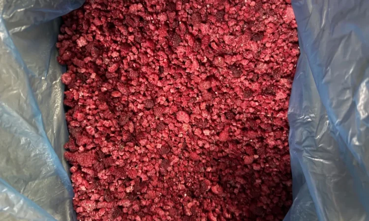 Продается замороженная малина Грис, 20 тонн - фото № 1