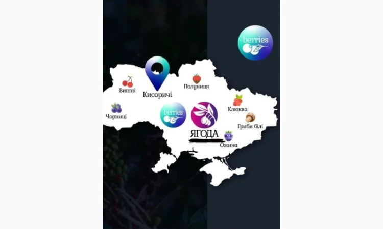 Куплю малину - фото № 1