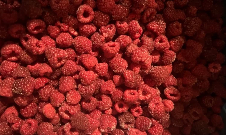 Куплю малину цілу, та гриз - фото № 1