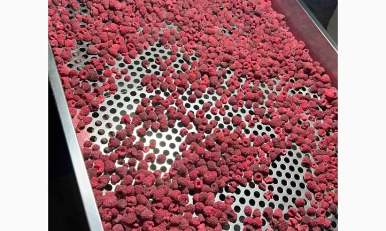 Куплю. Малина.заморожена 80/20, 90/10, грис - фото № 1