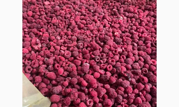 Заморожена малина - фото № 1