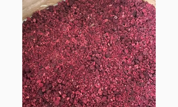 Заморожена малина - фото № 2