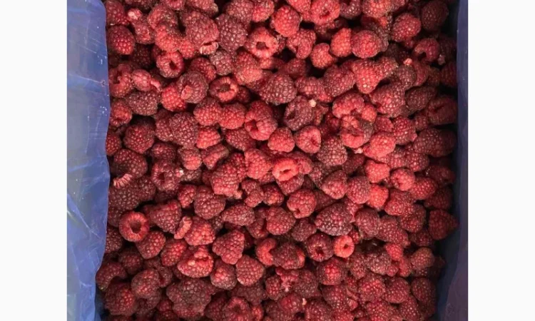 Продается замороженная малина в гофроящике - фото № 2