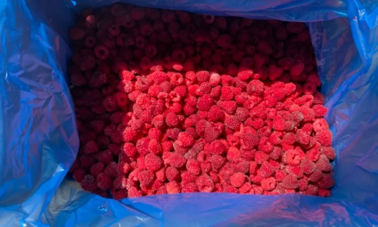 Продается замороженная малина в гофроящике - фото № 3