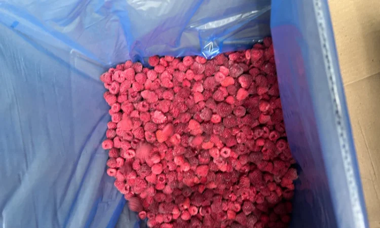 Продается замороженная малина в гофроящике - фото № 4