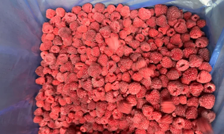 Продается замороженная малина в гофроящике - фото № 5