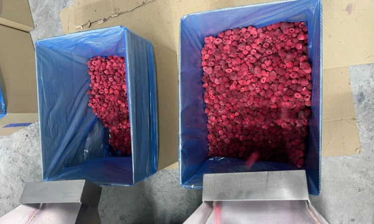 Продается замороженная малина в гофроящике - фото № 6