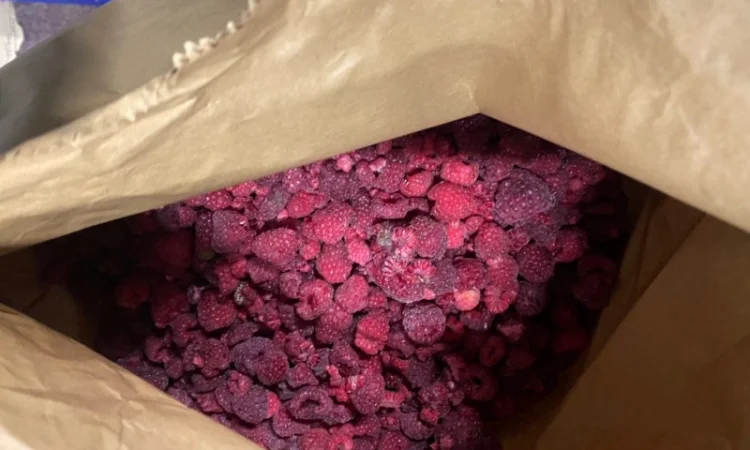 Замороженная малина грис оптом - фото № 2