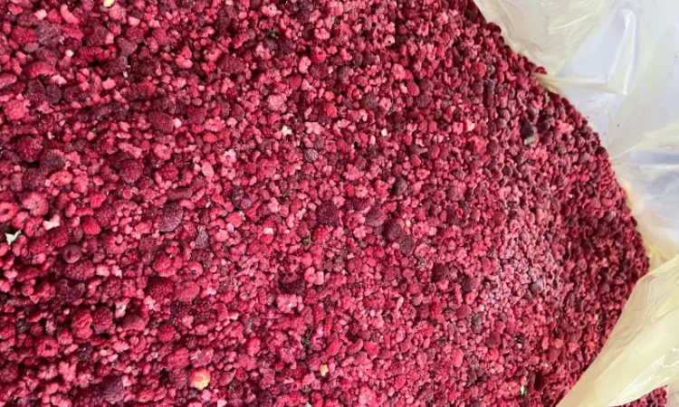 Замороженная малина грис оптом - фото № 3