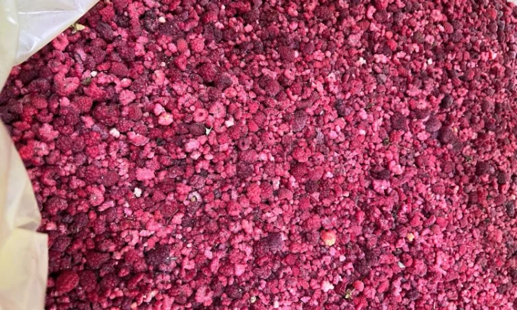 Замороженная малина грис оптом - фото № 4