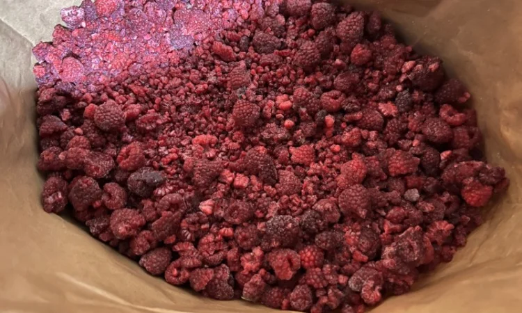 Продам Малину на грис - фото № 1