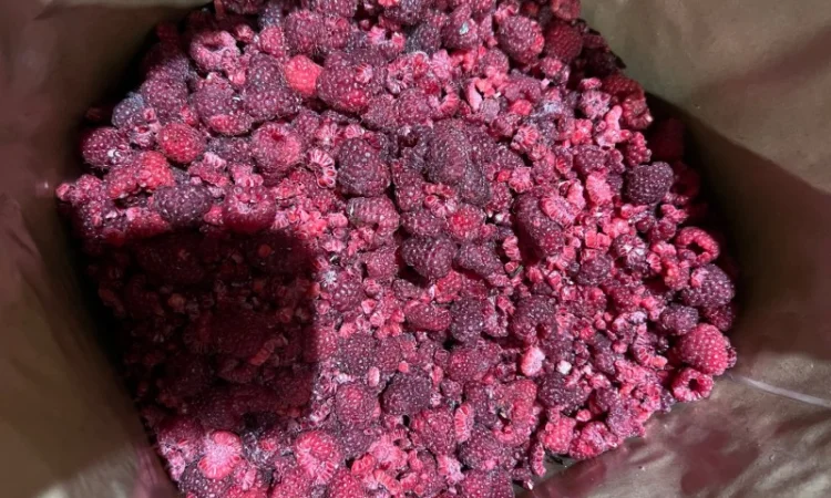 Продам Малину на грис - фото № 3